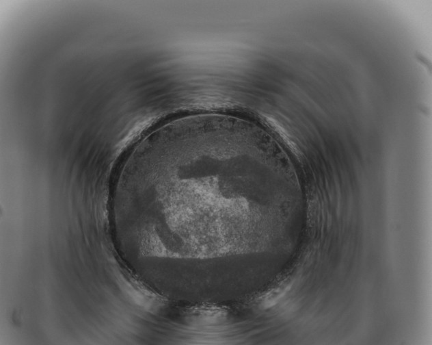 X0000096490443200801311622