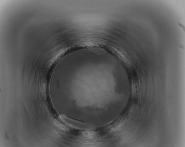 X0000096490444200801311622