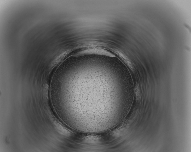 X0000096490445200801311622