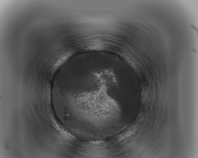 X0000096490446200801311622