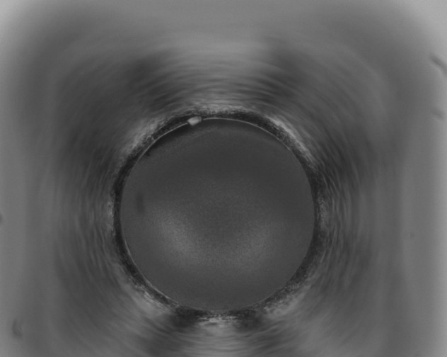 X0000096490447200801311622