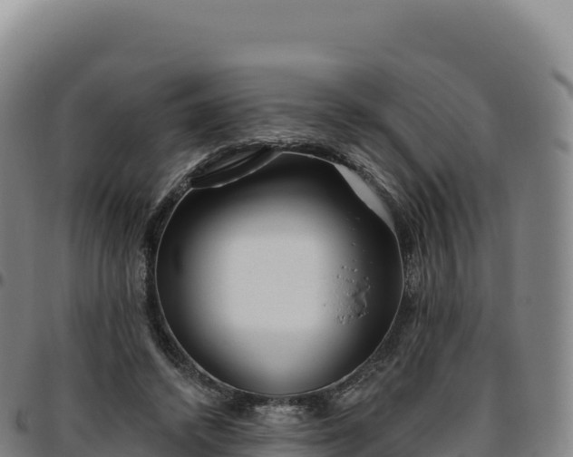 X0000096490448200801311622