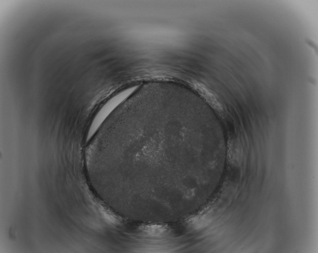 X0000096490449200801311622