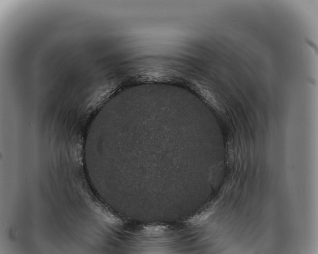 X0000096490450200801311622