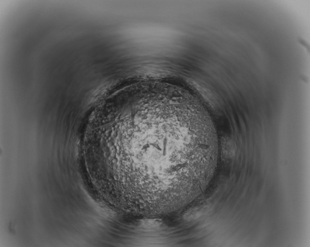 X0000096490451200801311622