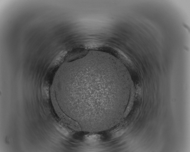 X0000096490452200801311622