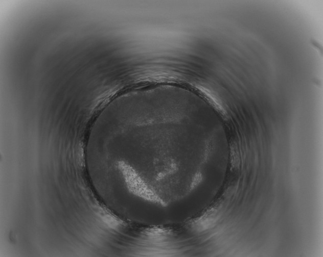 X0000096490453200801311622