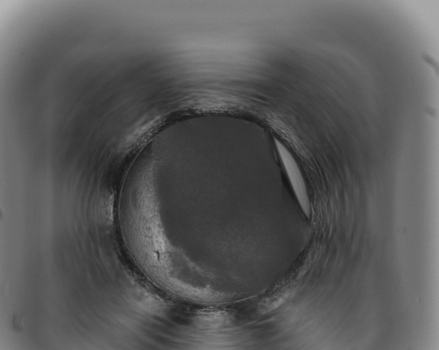 X0000096490454200801311622