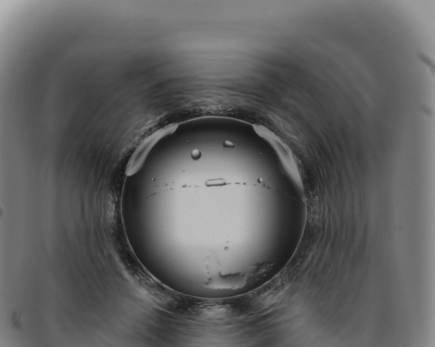 X0000096490456200801311622