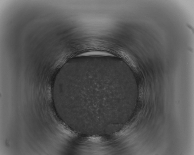 X0000096490457200801311622