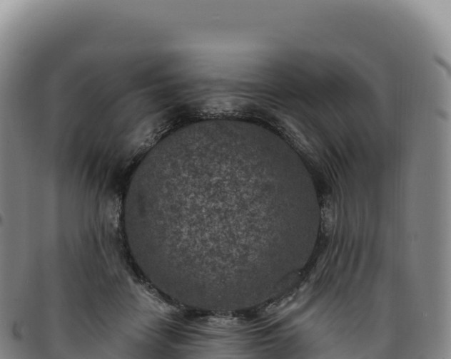 X0000096490458200801311622