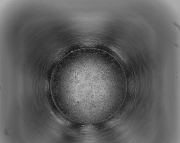 X0000096490459200801311622