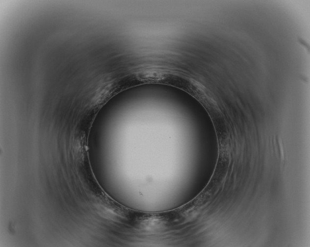 X0000096490460200801311622