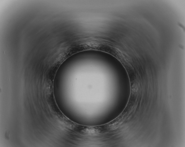 X0000096490464200801311622