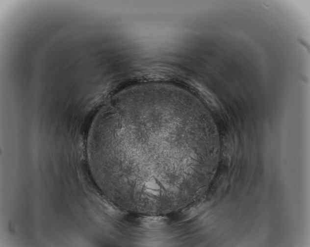 X0000096490465200801311622