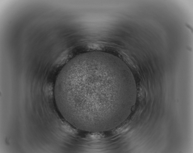 X0000096490466200801311622