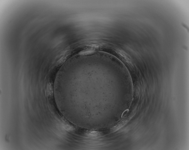 X0000096490467200801311622