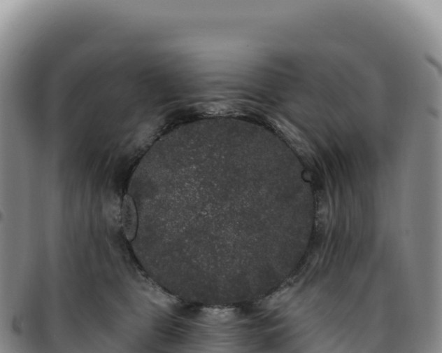 X0000096490469200801311622