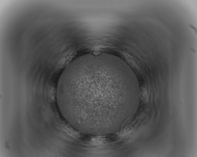 X0000096490470200801311622