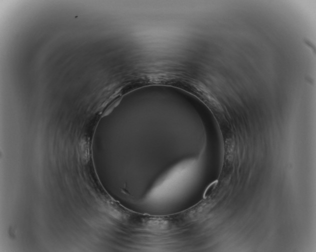 X0000096490471200801311622