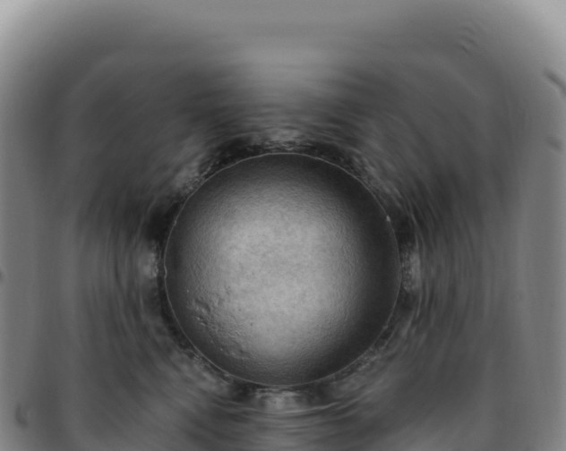 X0000096490472200801311622