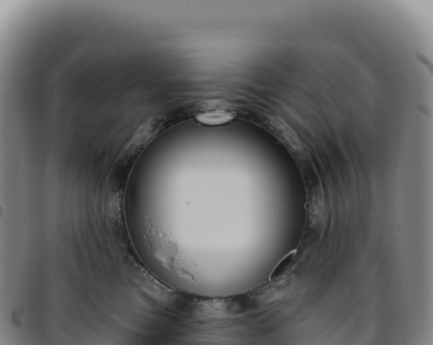 X0000096490473200801311622