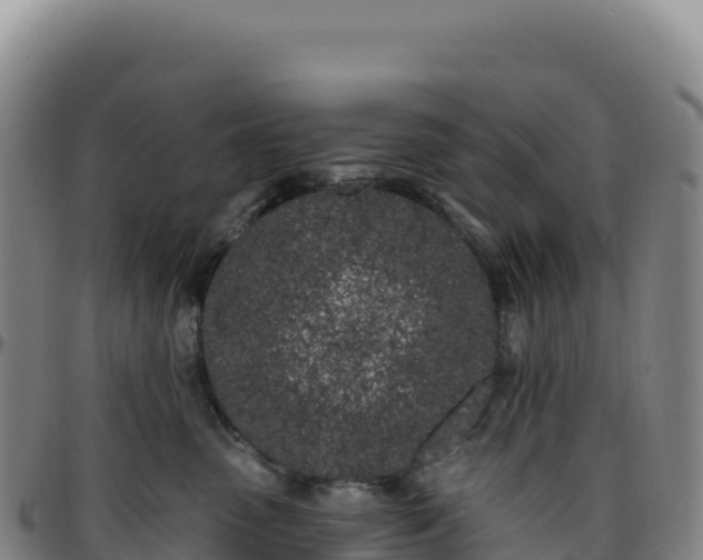 X0000096490475200801311622