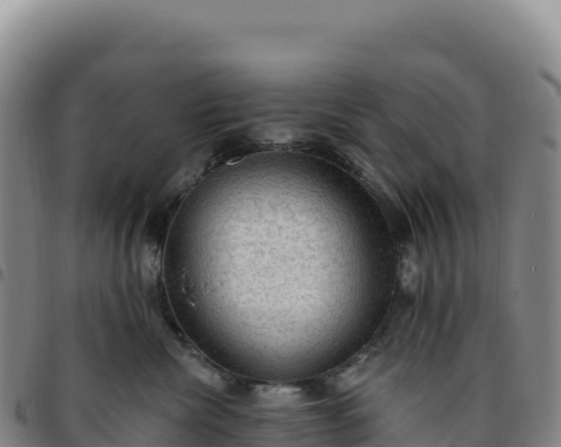 X0000096490476200801311622