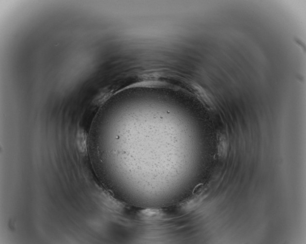 X0000096490477200801311622