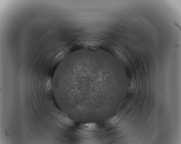 X0000096490478200801311622