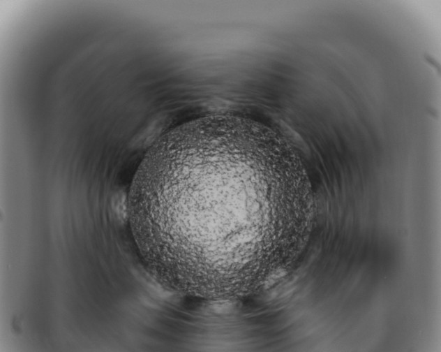 X0000096490479200801311622