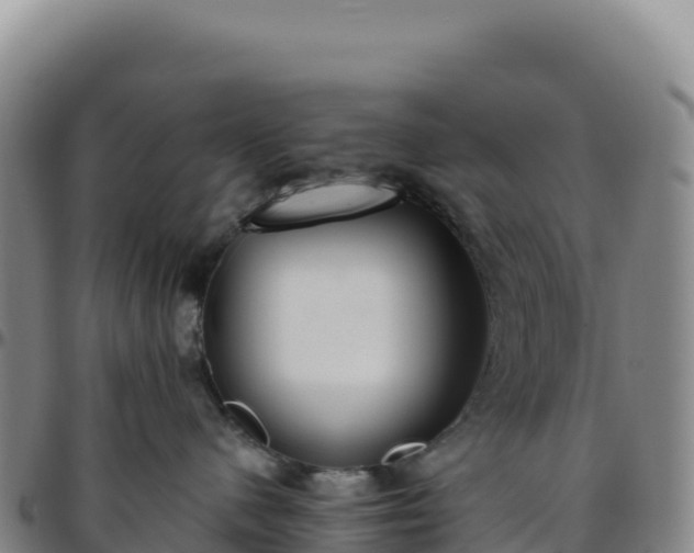 X0000096490480200801311622