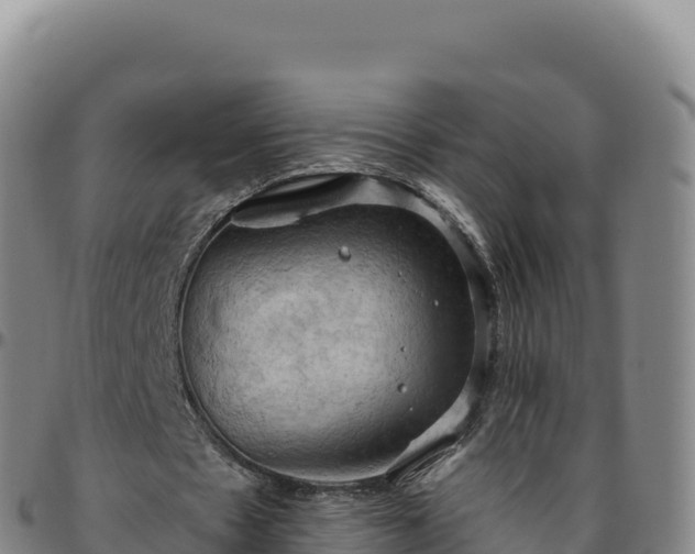 X0000096490481200801311622