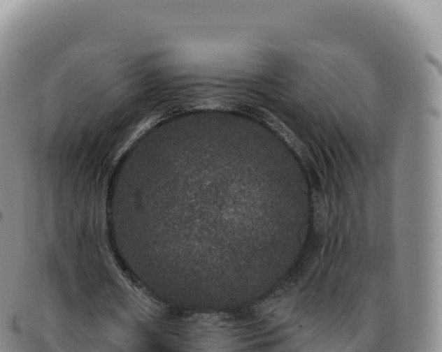 X0000096490482200801311622