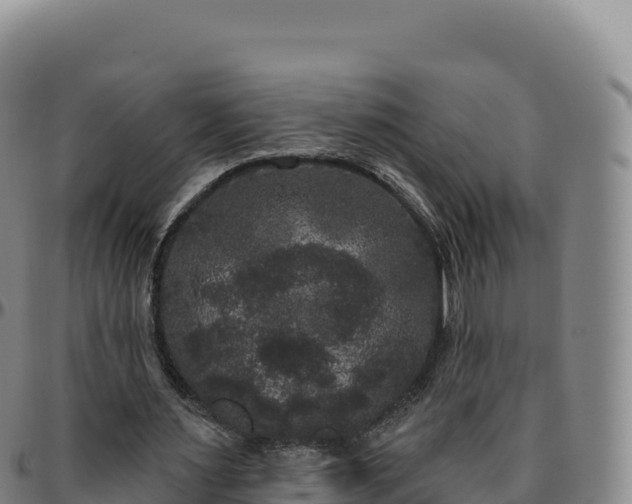 X0000096490483200801311622