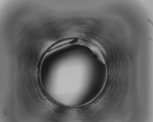 X0000096490485200801311621