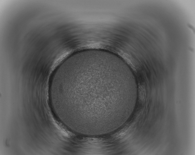 X0000096490486200801311621