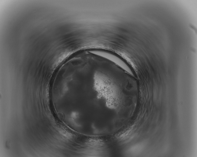 X0000096490487200801311621