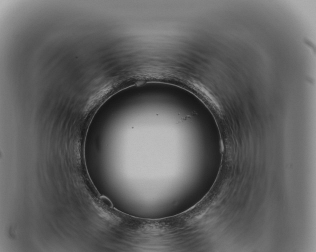 X0000096490489200801311621