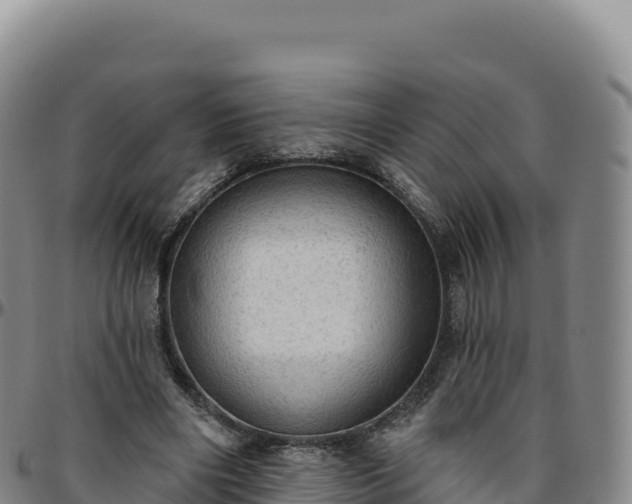 X0000096490490200801311621