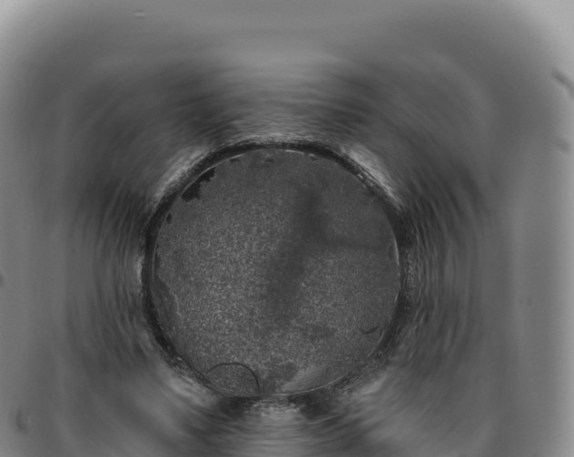 X0000096490491200801311621