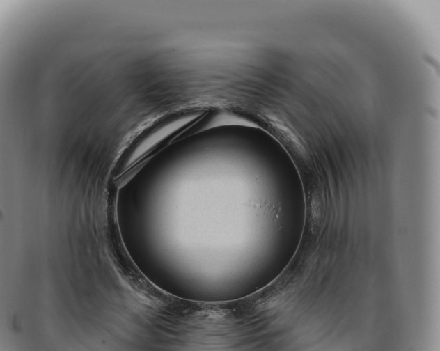 X0000096490492200801311621