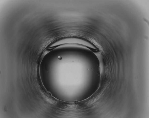 X0000096490493200801311621