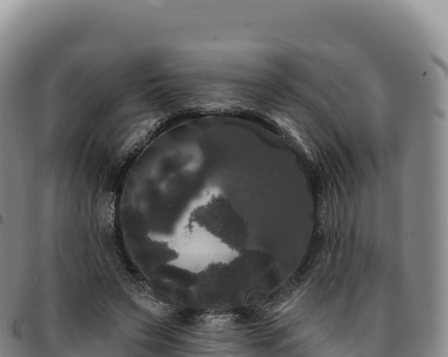 X0000096490495200801311621