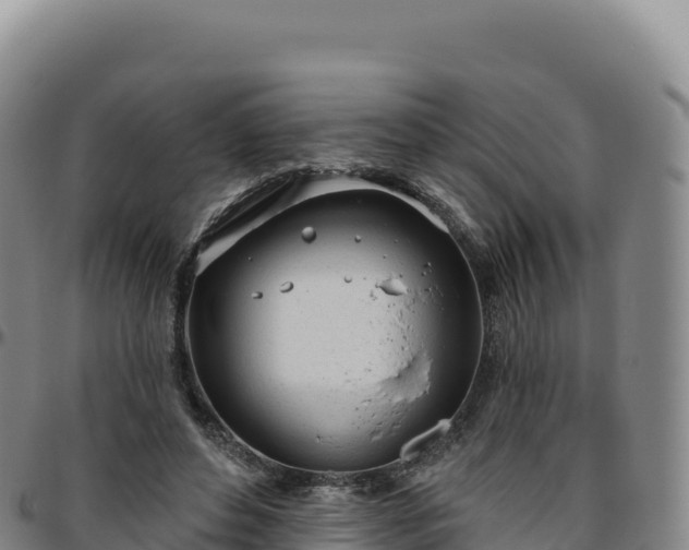 X0000096490496200801311621