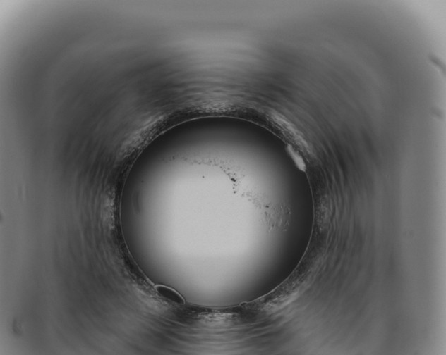 X0000096490497200801311621