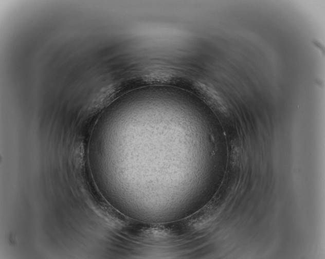 X0000096490498200801311621