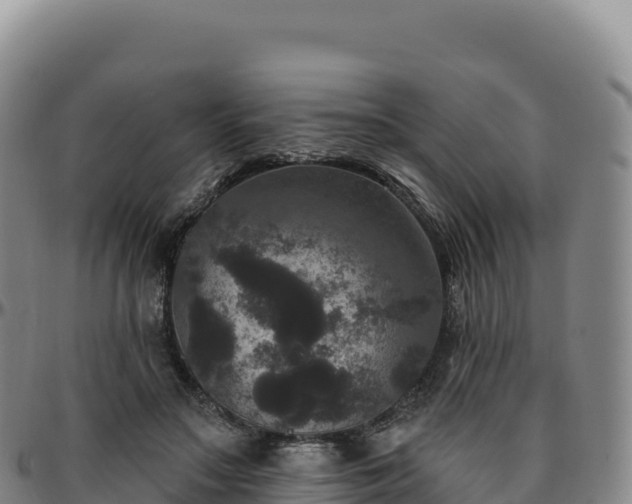 X0000096490499200801311621