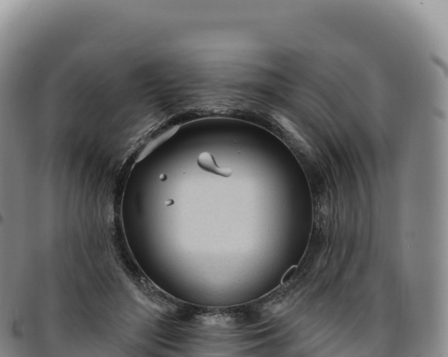 X0000096490500200801311621