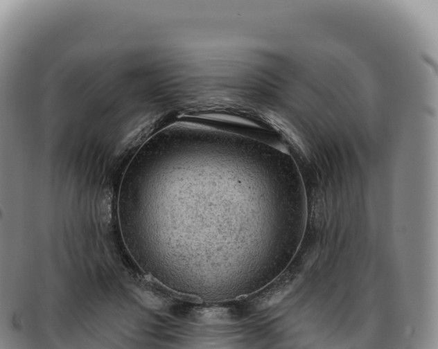 X0000096490501200801311621